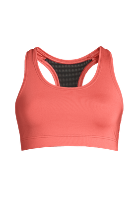 Iconic Sports Bra