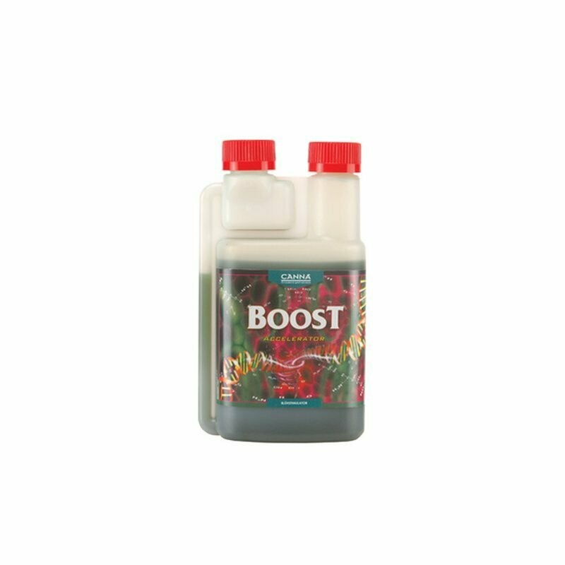 Canna Boost Acceleerator