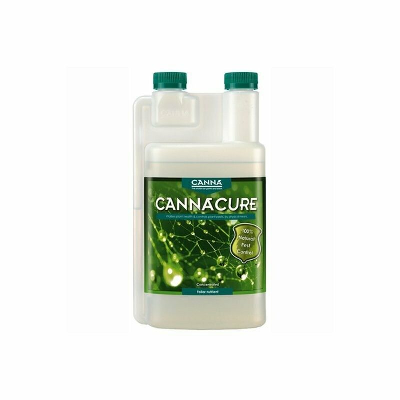CannaCure