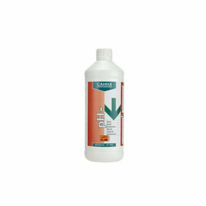 Canna PH- 59% Blüte