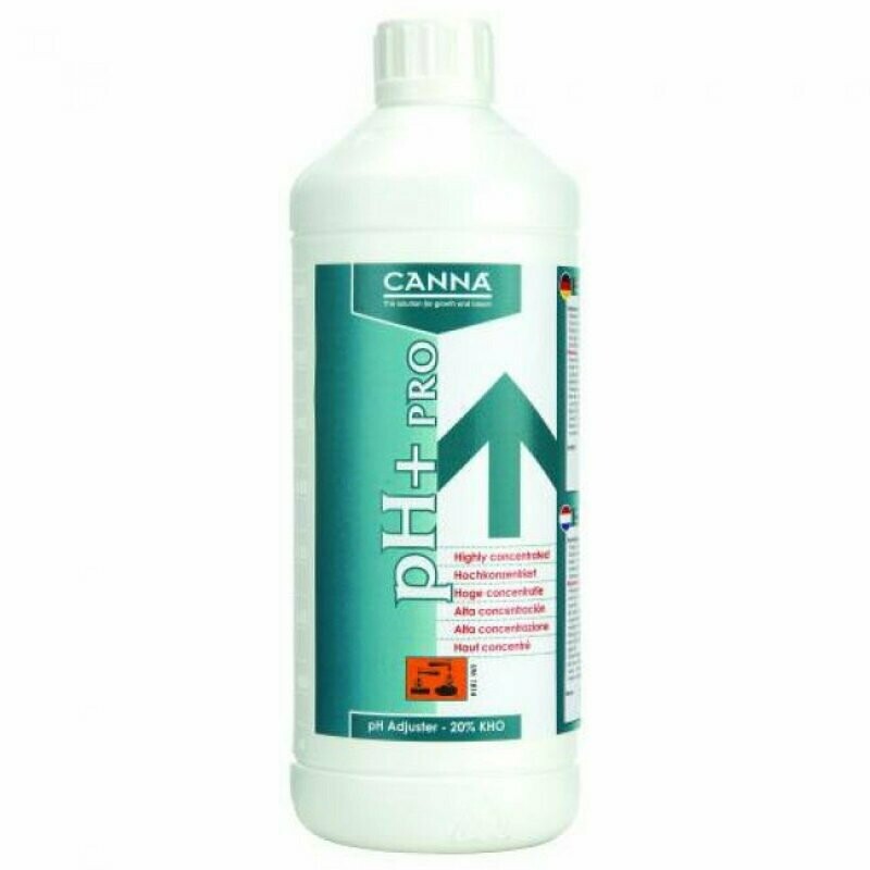 Camma PH+ 20%