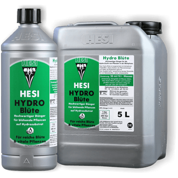 Hesi Hydro Blüte