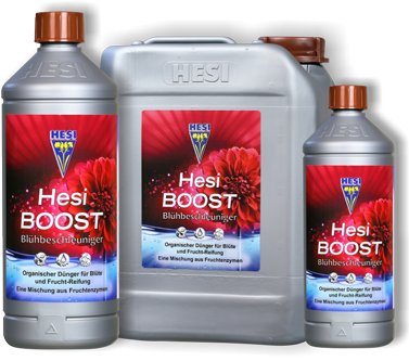 Hesi Boost