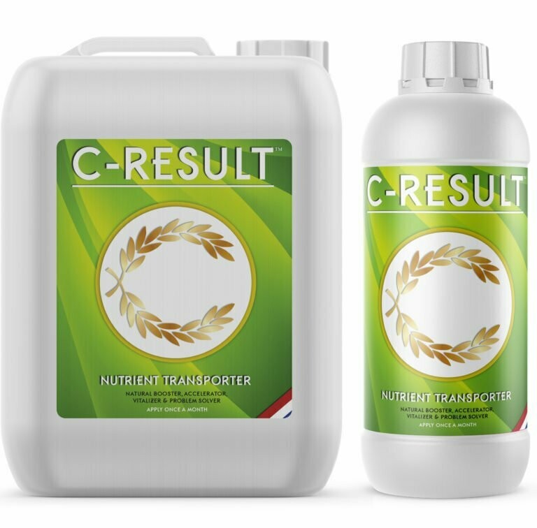 C - Result
