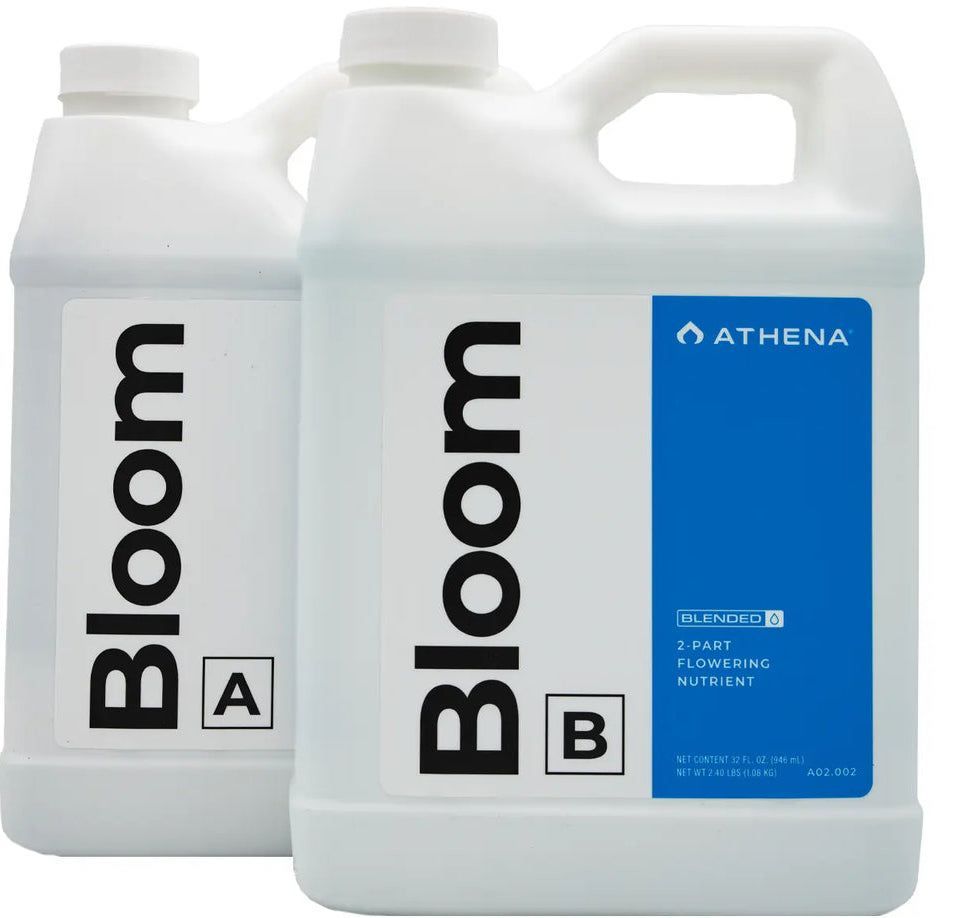 ATHENA BLOOM A&B ATHENA BLOOM A&B