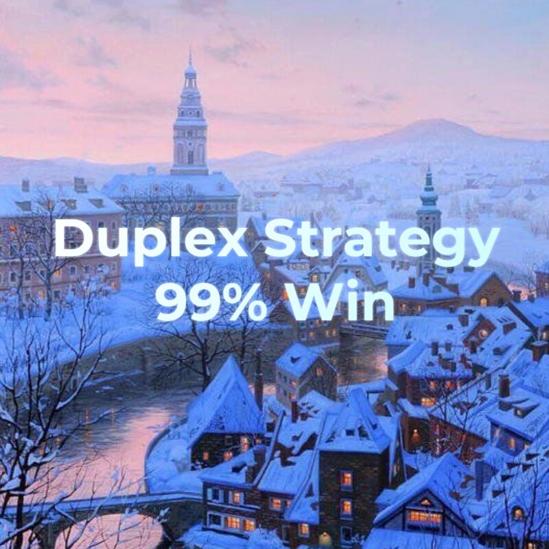 Winner Bot: Duplex Strategy