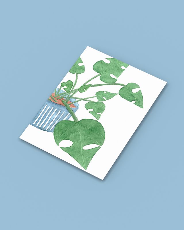 Monstera | Miniprint A6 | vykort