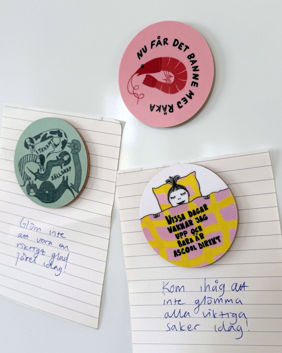 Magnet | 3-pack | 6,5 CM