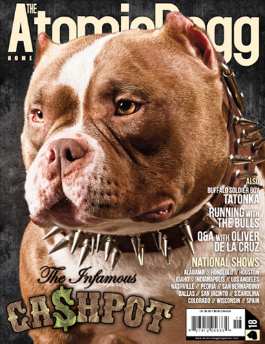 Issue#18 CashPot