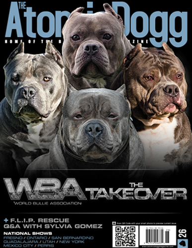 Issue#26 WBA 1