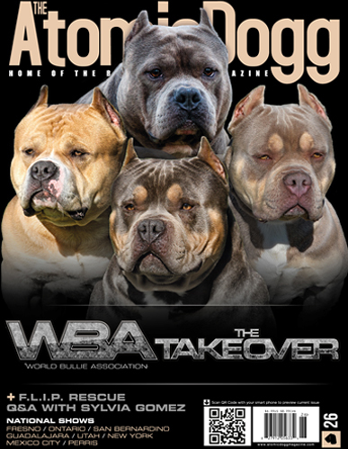 Issue#26 WBA 2