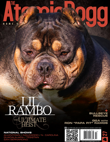 Issue#27 Lil Rambo