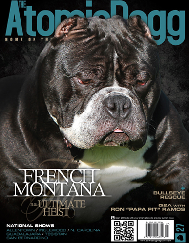 Issue#27 Montana