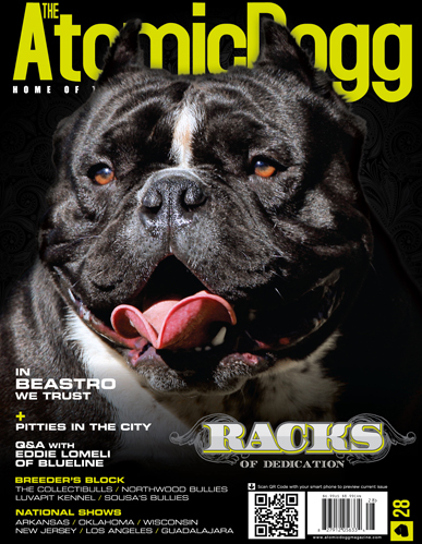 Issue#28 Rack