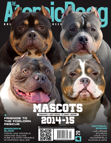 Issue#29 Mascots A