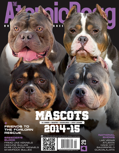 Issue#29 Mascots L