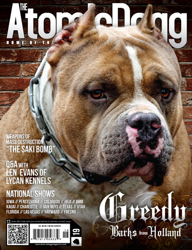 Issue#19 Greedy
