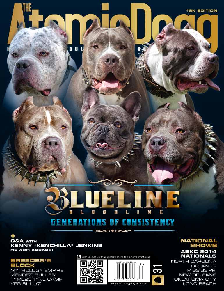 Issue#31 18K