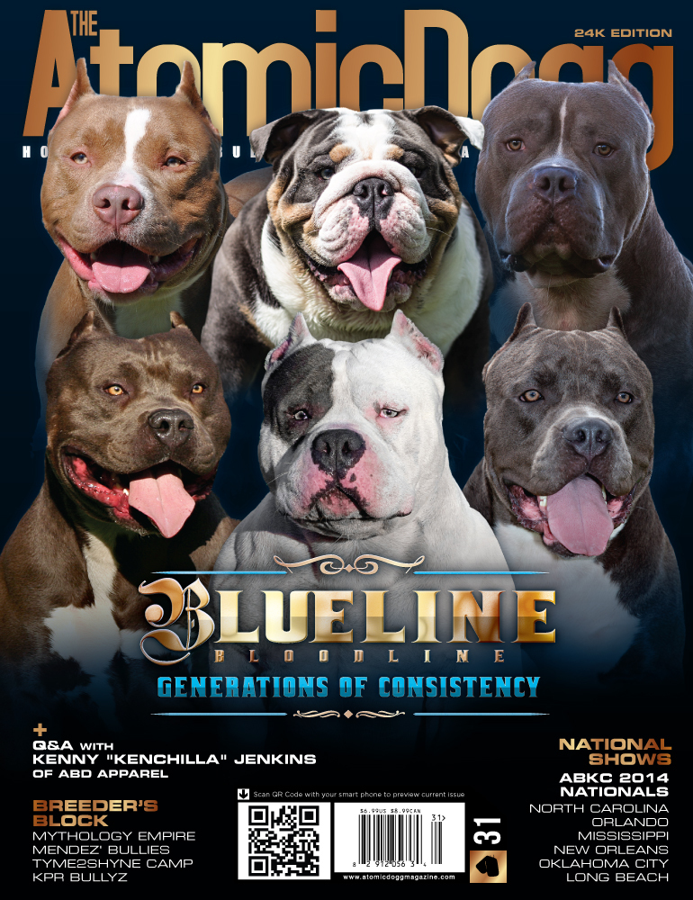 Issue#31 24K