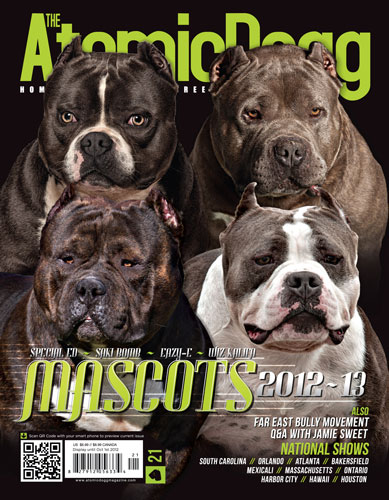 Issue#21 Mascots