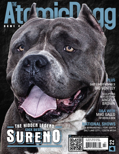 Issue#22 Sureno