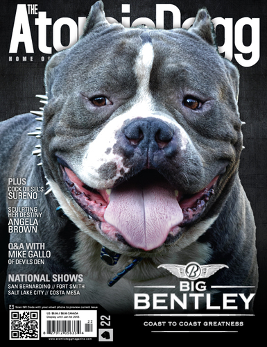 Issue#22 Bentley