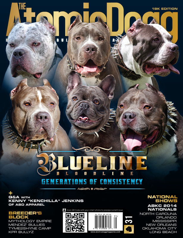 Issue#31 18K