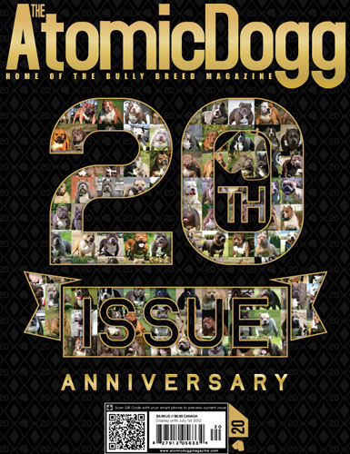 Issue#20