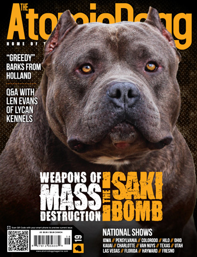 Issue#19 Saki Bomb