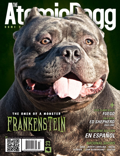 Issue#23 Franken