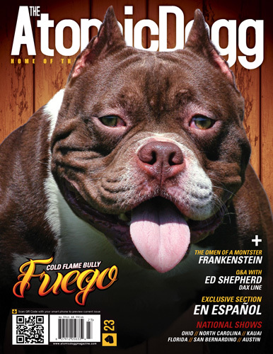 Issue#23 Fuego