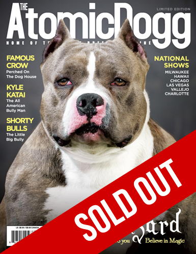 Issue#11