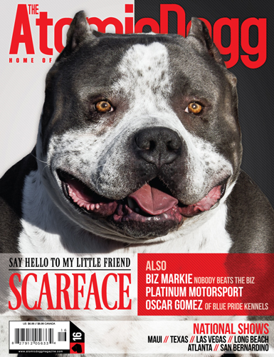 Issue#16 Scarface