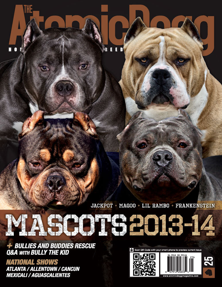 Issue#25 Mascots