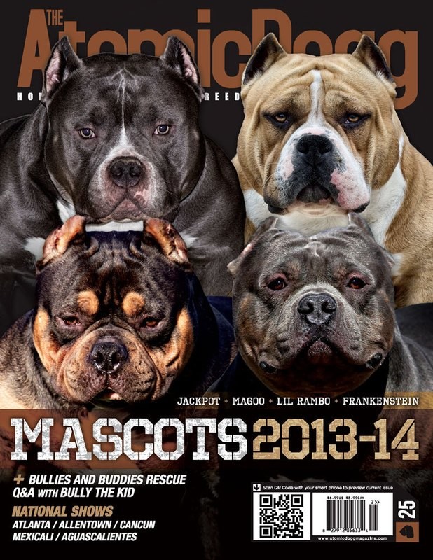 Issue#25 Mascots