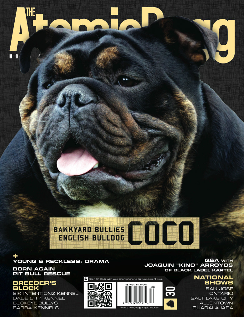Issue#30 Coco