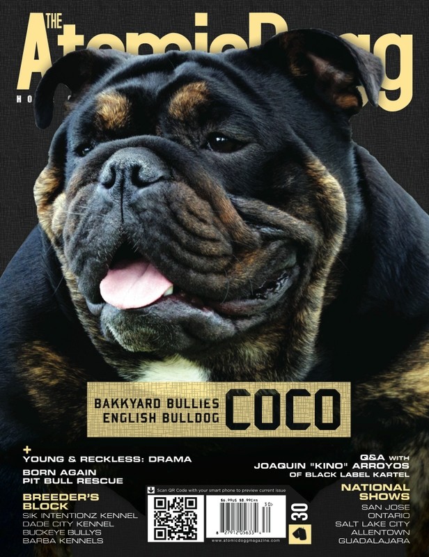 Issue#30 Coco