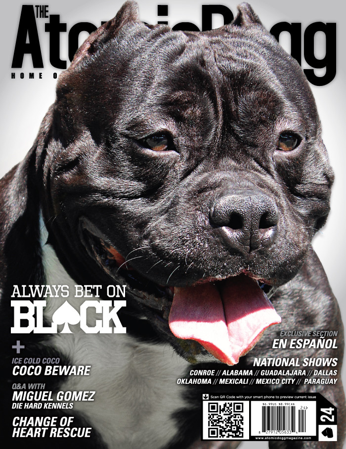 Issue#24 Bet Black