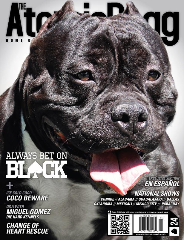 Issue#24 Bet Black