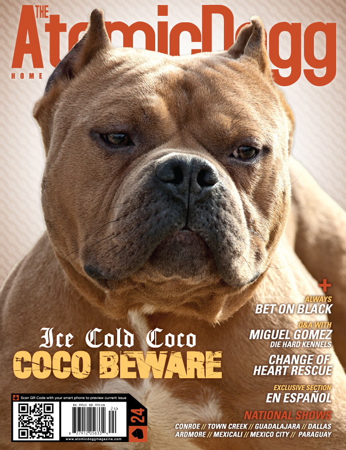 Issue#24 Coco