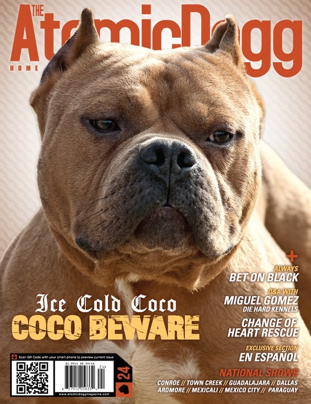 Issue#24 Coco