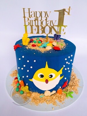 Baby shark Single tier Cake