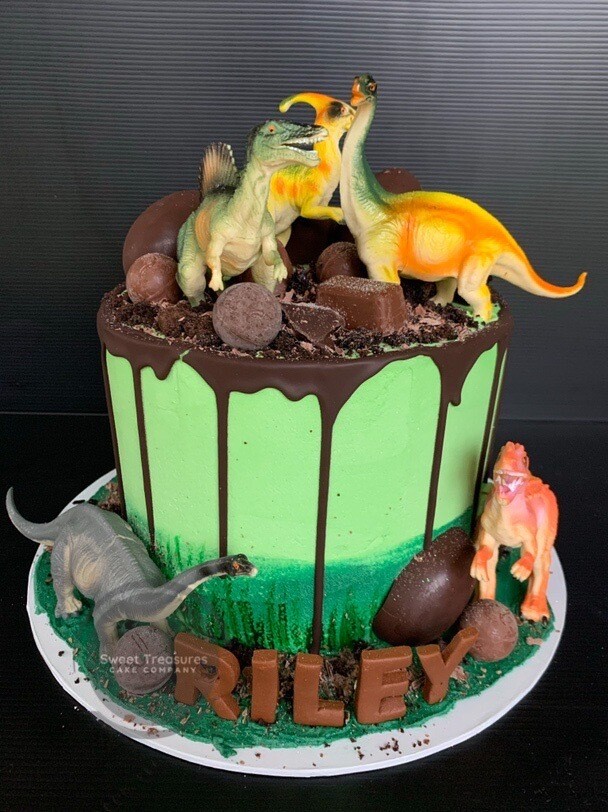 Dinosaur drip Single tier cake