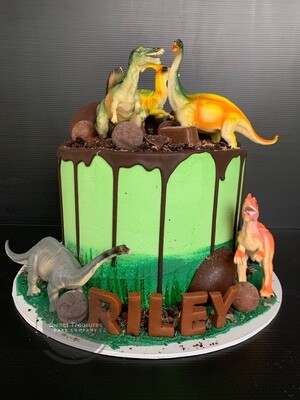 Dinosaur drip Single tier cake
