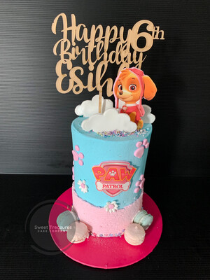 Paw Patrol Single tier cake