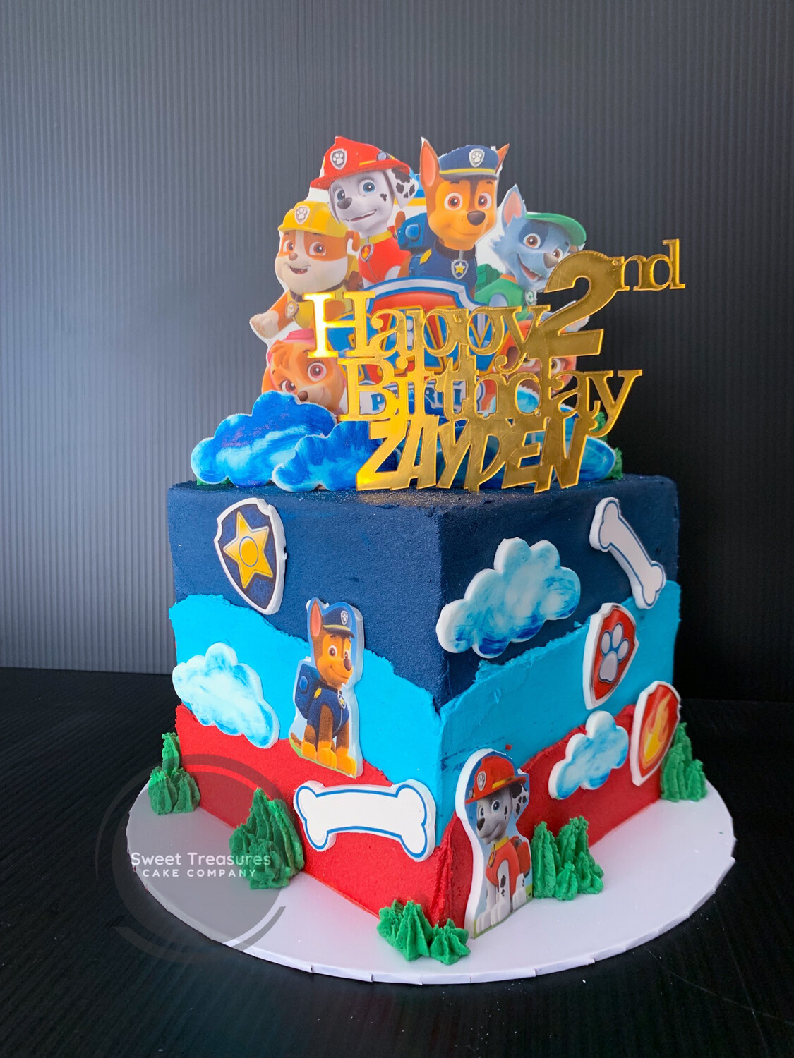 Square Paw Patrol Single tier Cake