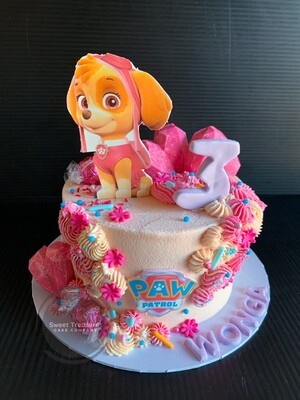 Paw Patrol Single tier cake