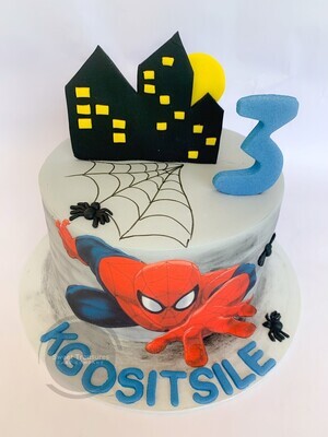 Grey Spiderman Single tier Cake