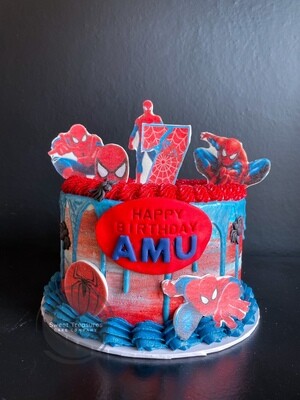 Spiderman drip Single tier cake