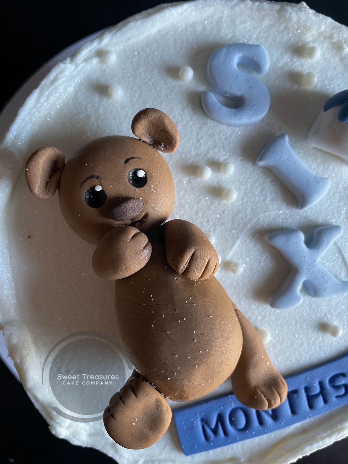 Teddy Milestone Bento Cake